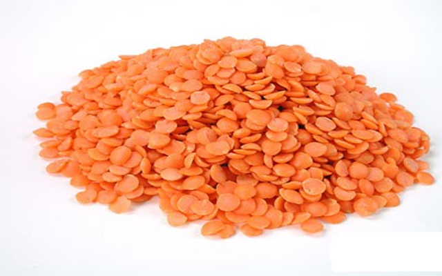 masoor dal premium lentils of royal harvest