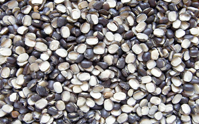 royal harvest premium lentils