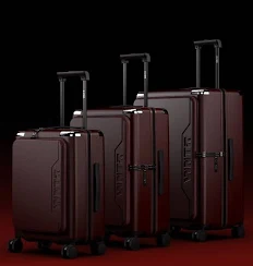 Maroon trolley bags